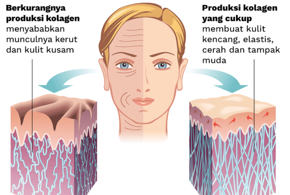 sabun kolagen, kolagen, manfaat kolagen, manfaat kolagen untuk wajah, jual sabun kolagen, sabun kolagen murah, khasiat sabun kolagen